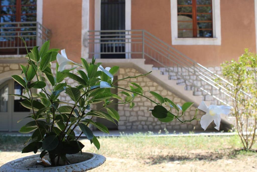 Апартаменты La Provencale Юзес Экстерьер фото